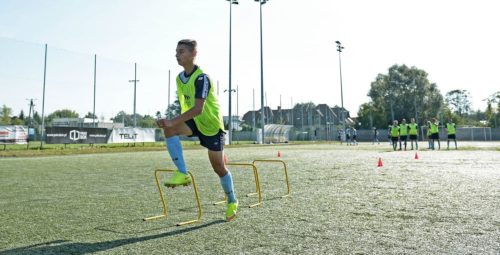 Tréningová agility prekážka 45 cm - Image 3