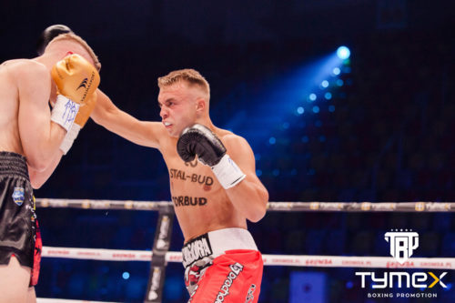 Boxerské rukavice TIGER Gold / Black V - séria PRO 2.0 - Image 4