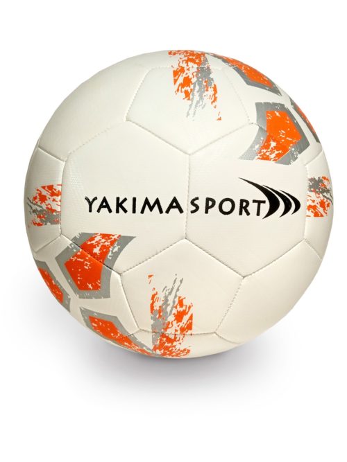 Futbalová lopta č.5